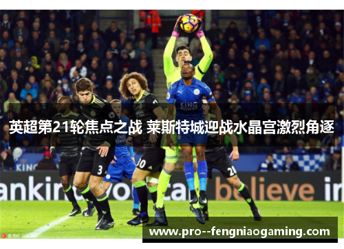 英超第21轮焦点之战 莱斯特城迎战水晶宫激烈角逐