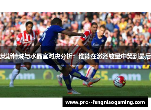 莱斯特城与水晶宫对决分析:谁能在激烈较量中笑到最后 莱斯特城与水晶宫对决分析:谁能在激烈较量中笑到最后
