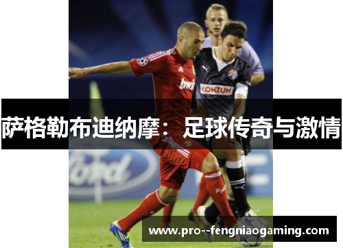 萨格勒布迪纳摩:足球传奇与激情 萨格勒布迪纳摩:足球传奇与激情