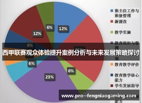 西甲联赛观众体验提升案例分析与未来发展策略探讨