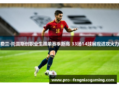 费兰-托雷斯创职业生涯单赛季新高 33场14球展现进攻火力