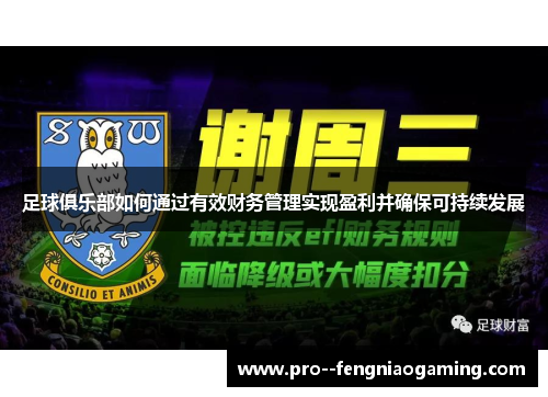 足球俱乐部如何通过有效财务管理实现盈利并确保可持续发展