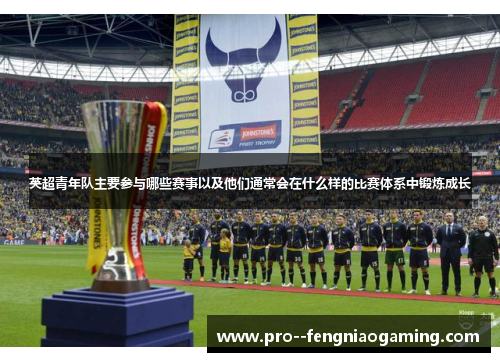 英超青年队主要参与哪些赛事以及他们通常会在什么样的比赛体系中锻炼成长 英超青年队主要参与哪些赛事以及他们通常会在什么样的比赛体系中锻炼成长