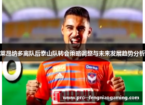 莱昂纳多离队后泰山队转会策略调整与未来发展趋势分析