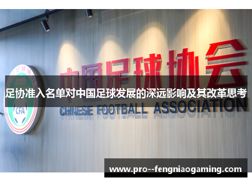 足协准入名单对中国足球发展的深远影响及其改革思考