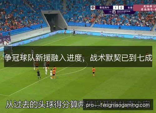 争冠球队新援融入进度，战术默契已到七成